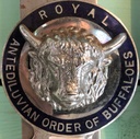 Royal antediluvian order of buffaloes